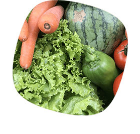 Obst und Gemüse im Schongang - nicht treibend und belastend. Ideal für stillende Mütter, Senioren oder Sportler.