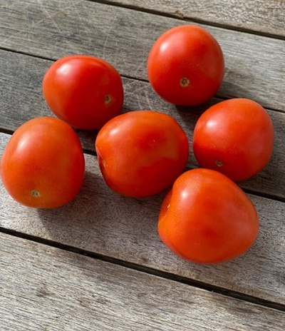 Produktfoto zu Roma-Tomaten
