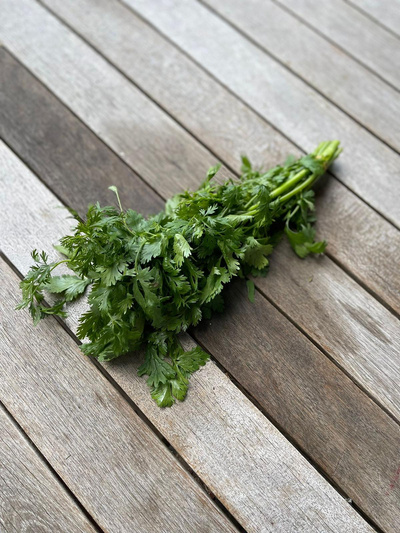 Produktfoto zu Koriander, Bund