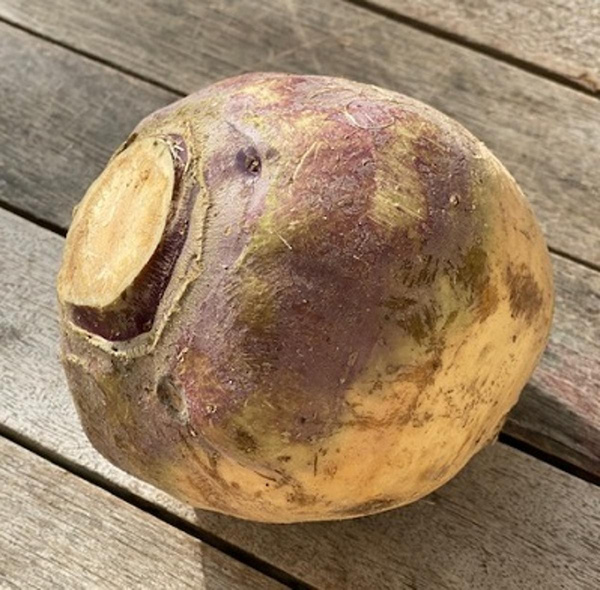Produktfoto zu Steckrübe ca. 1 kg
