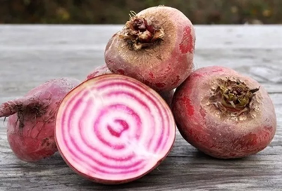 Produktfoto zu Rot_Weiss Geringelt Bete