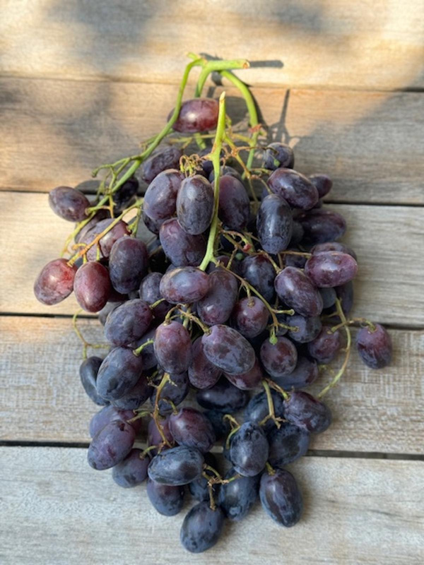 Produktfoto zu Trauben, rot kernarm 300g Portion