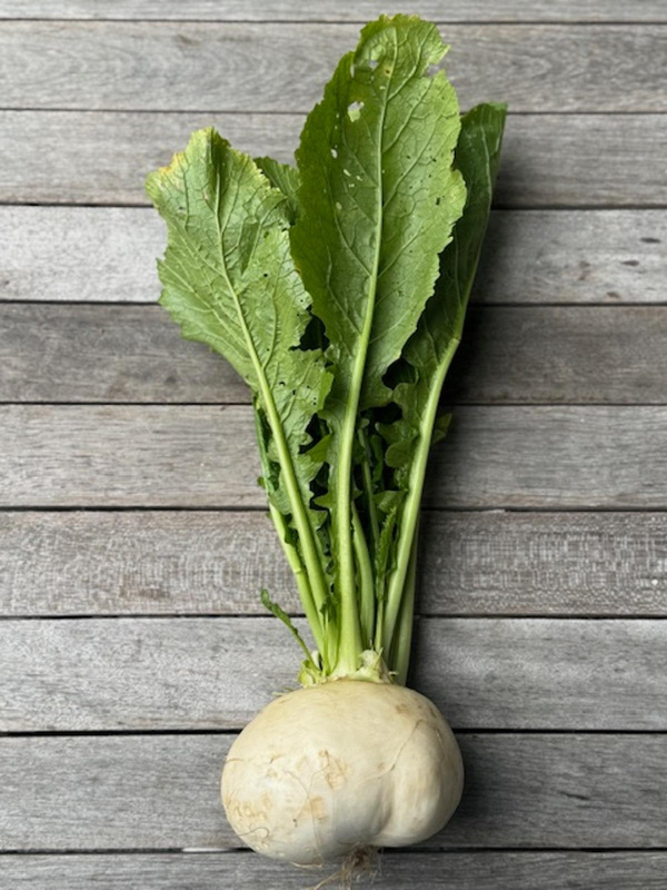 Produktfoto zu Mairübchen 1 Stück
