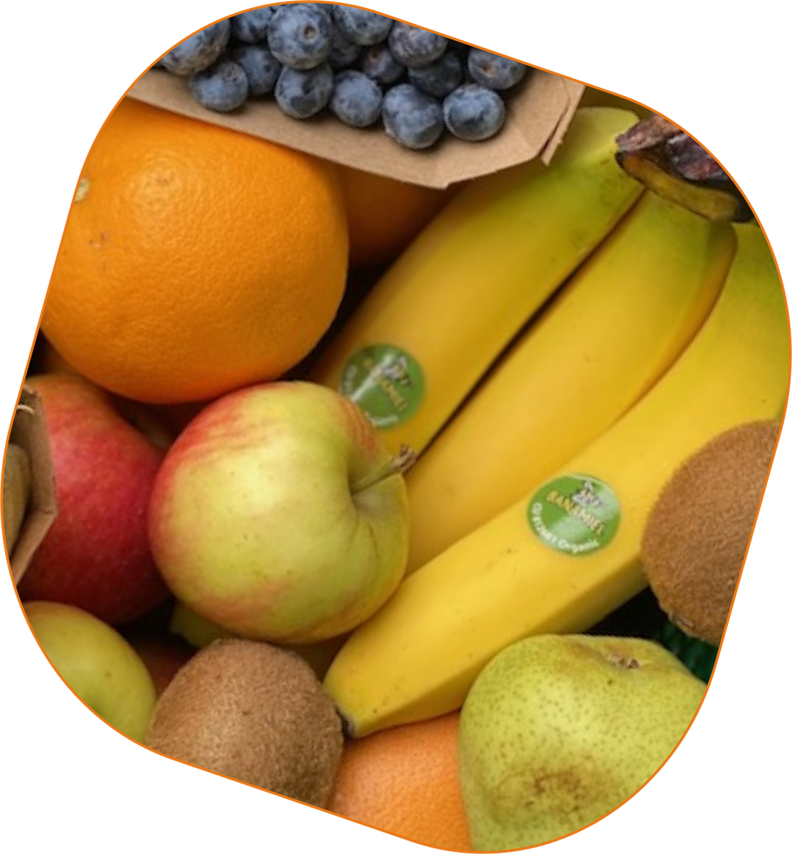 KI generiert: Das Bild zeigt eine Auswahl von verschiedenen Früchten, darunter Bananen, Äpfel, Orangen, Kiwi und Blaubeeren. Der Hauptinhalt des Bildes ist die Darstellung frischer, bunter Früchte.