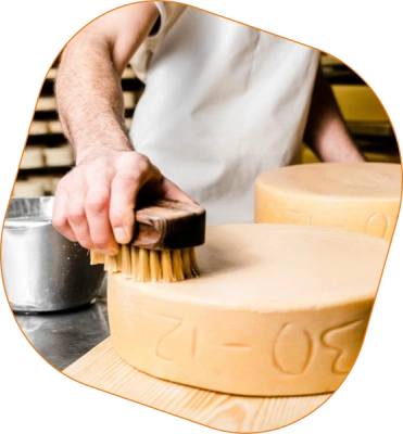 KI generiert: Das Bild zeigt eine bunte Auswahl an frischem Obst und Gemüse, darunter Tomaten, Paprika, Radieschen, und Spinat. Die Vielfalt der Farben betont die Frische und Vielfalt der Lebensmittel.