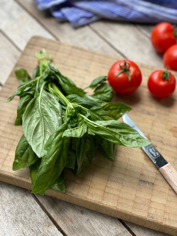 Produktfoto zu Basilikum, -Bund