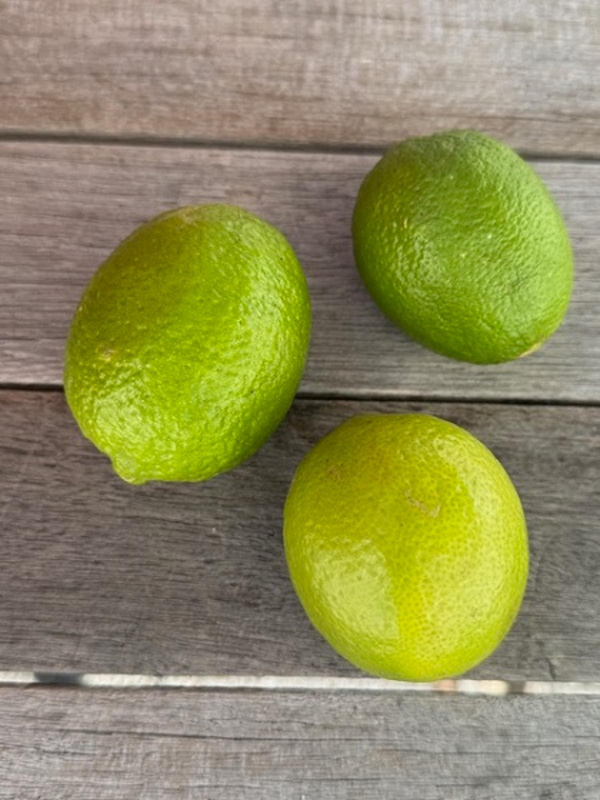 Produktfoto zu Limetten