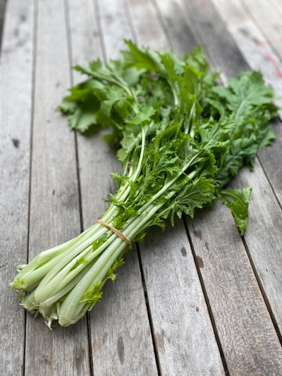 Produktfoto zu Rübstiel