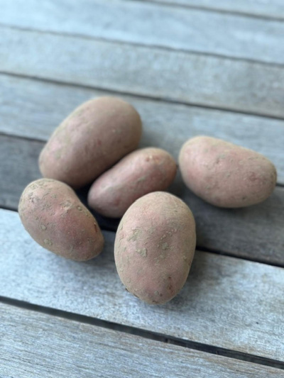Produktfoto zu Kartoffeln Rote Laura 2 Kg Beutel