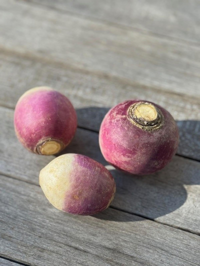 Produktfoto zu Rübchen, Navets