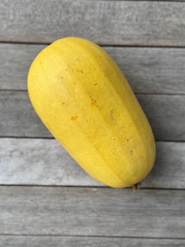 Produktfoto zu Spaghetti Kürbis