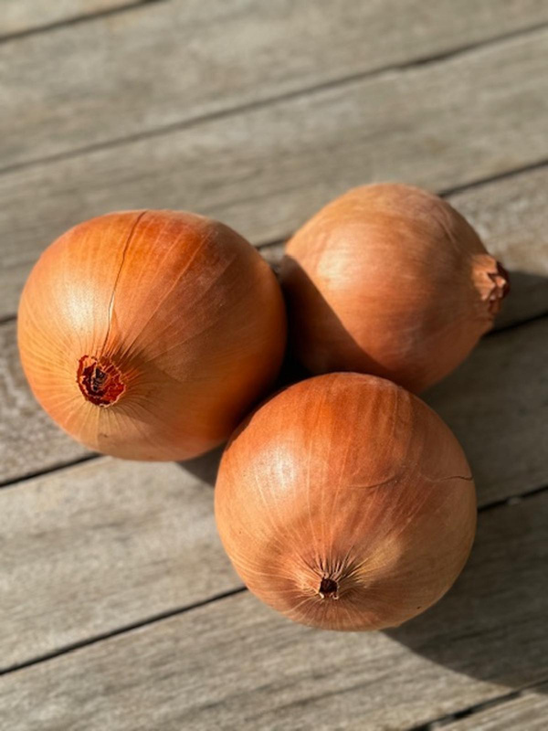 Produktfoto zu Gemüsezwiebel