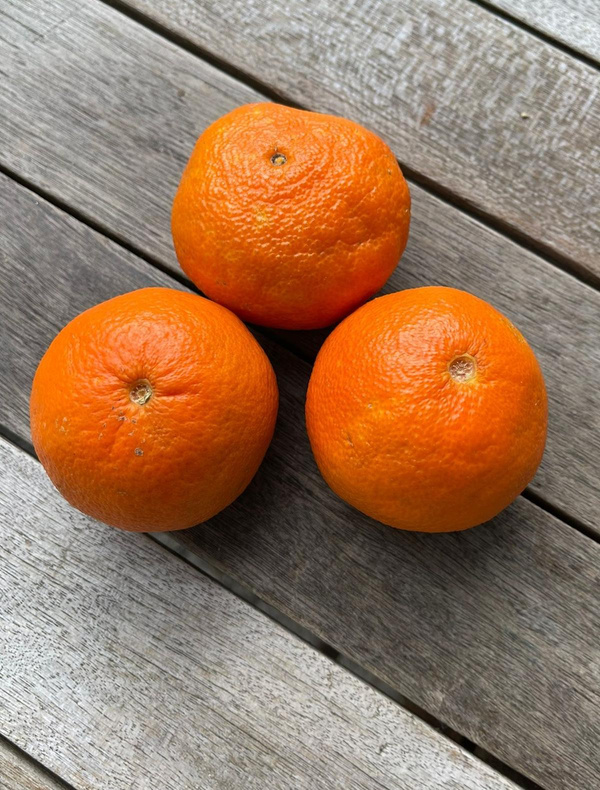 Produktfoto zu Mandarine