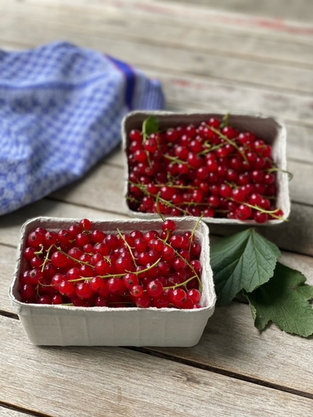 KI generiert: Zwei Schalen mit roten Johannisbeeren auf einem Holztisch.