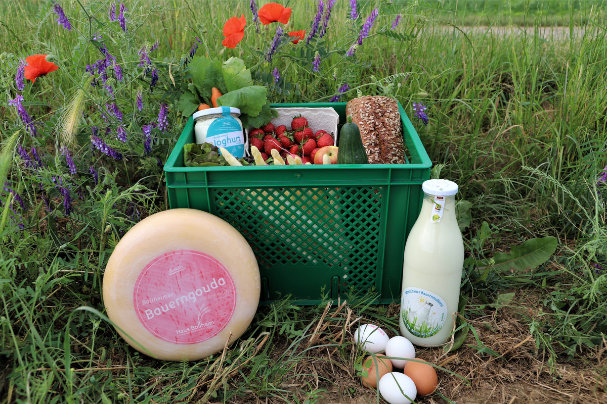 IDA Biokiste mit frischem Gemüse und Obst