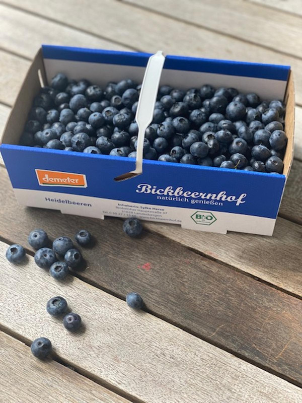 Produktfoto zu Heidelbeeren 1kg Korb