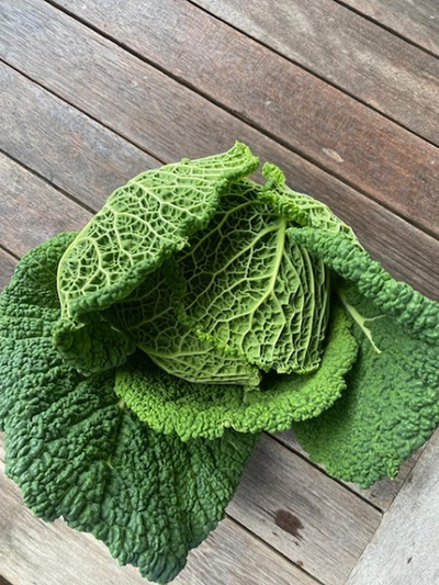 Produktfoto zu Wirsing ca. 0,7 Kg