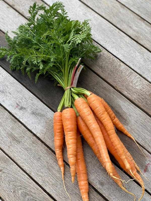 Produktfoto zu Möhren, Bund