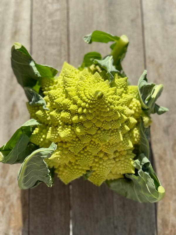 Produktfoto zu Romanesco