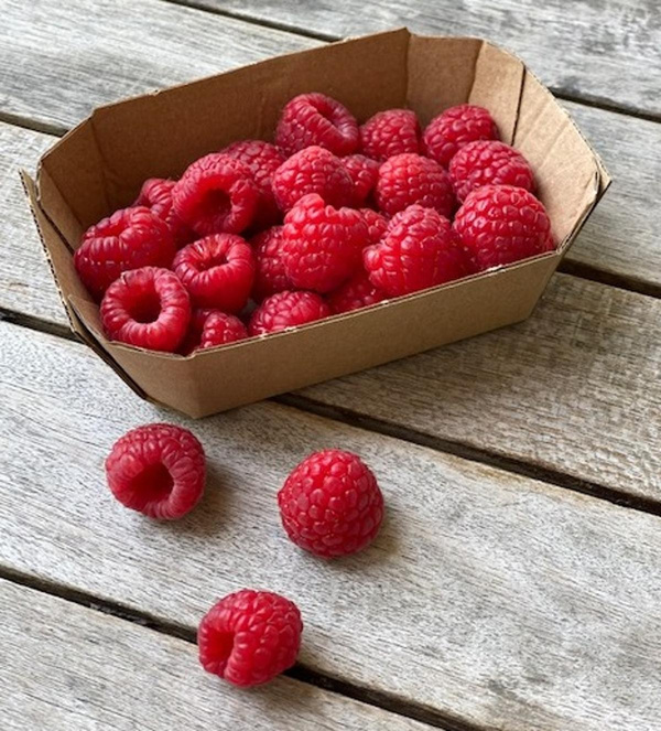 Produktfoto zu Himbeeren 125 g Schale