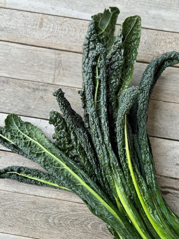 Produktfoto zu Schwarzkohl