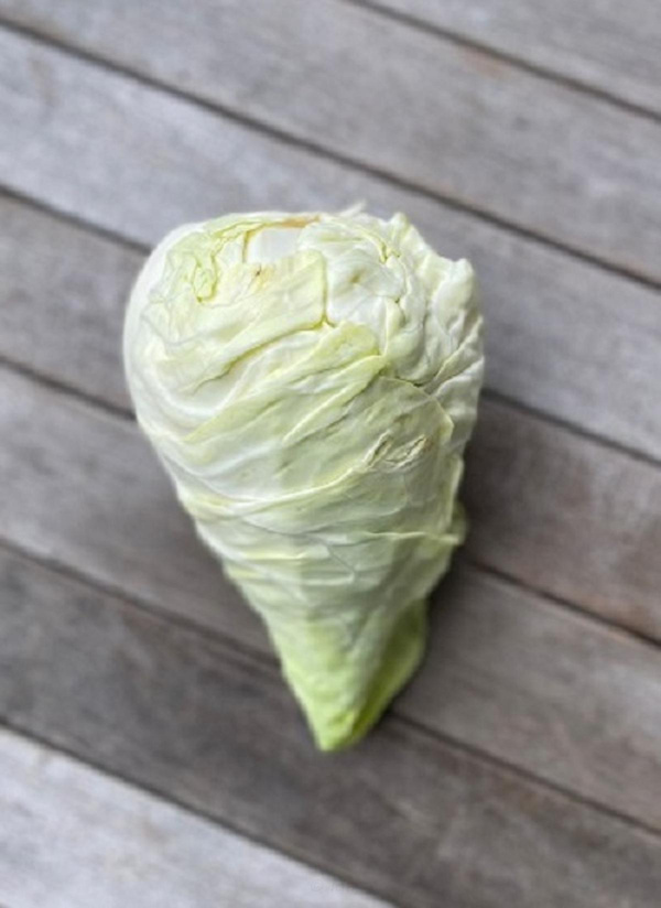 Produktfoto zu Spitzkohl klein