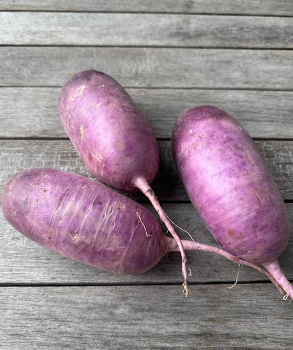 Produktfoto zu Rettich Blue Meat