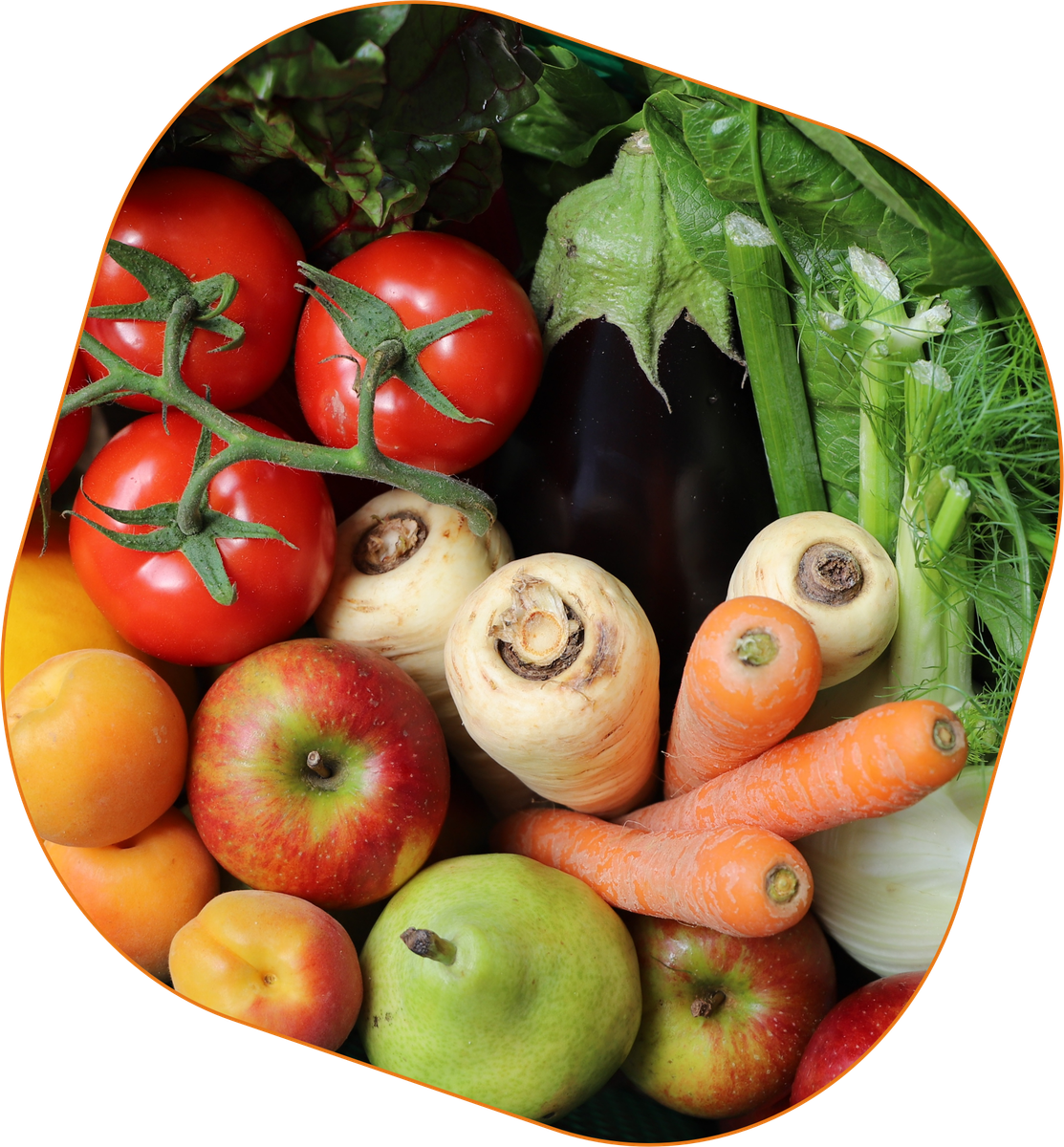 KI generiert: Das Bild zeigt eine bunte Auswahl an Obst und Gemüse, darunter Tomaten, Äpfel, Birnen, Karotten und Pastinaken. Der Fokus liegt auf der Vielfalt und Frische der Lebensmittel.