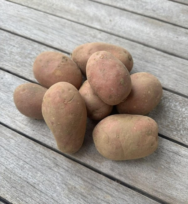 Produktfoto zu Kartoffel Rote Laura 1 kg fk