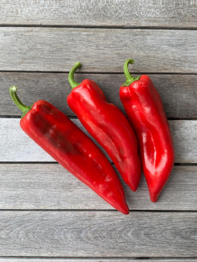 Produktfoto zu Spitzpaprika rot