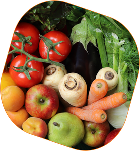 KI generiert: Das Bild zeigt eine bunte Auswahl an frischem Obst und Gemüse, darunter Tomaten, Äpfel, Birnen, Karotten und Blattsalat. Die verschiedenen Früchte und Gemüsesorten wirken frisch und appetitlich arrangiert.