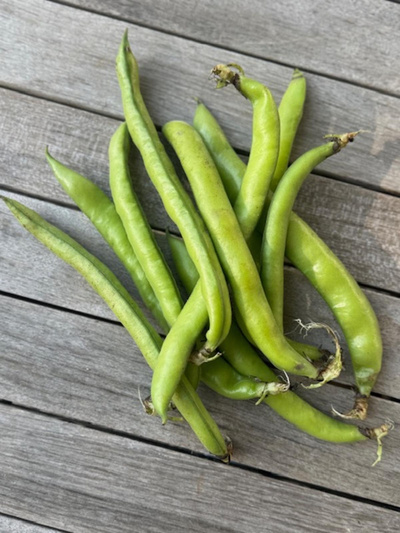 Produktfoto zu Bohnen, Dicke Bohnen 400g