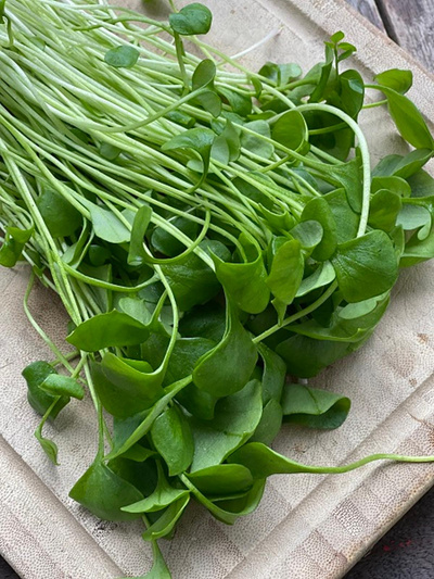 Produktfoto zu Postelein 120g