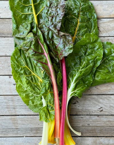 Produktfoto zu Mangold, bunt