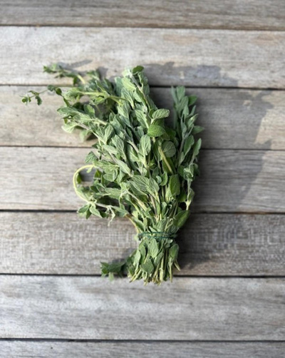 Produktfoto zu Oregano, Bund