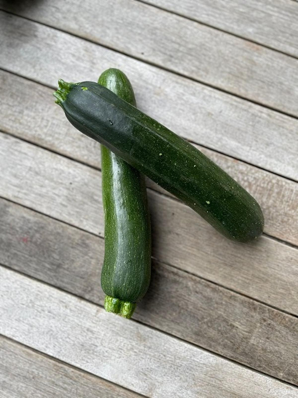 Produktfoto zu Zucchini