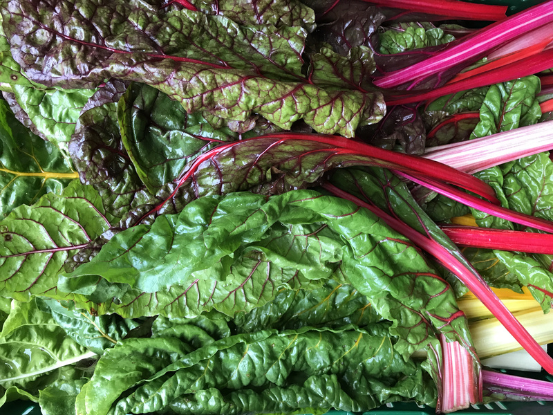 KI generiert: Frischer Mangold mit bunten Stielen liegt in einer Kiste.