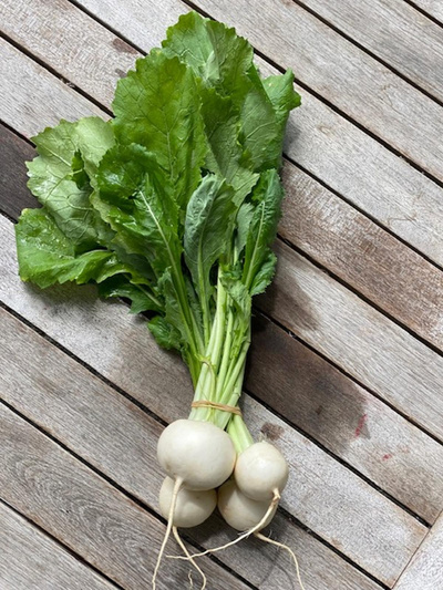 Produktfoto zu Mairübchen 1 Stück