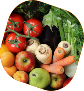 KI generiert: Das Bild zeigt eine bunte Auswahl an Obst und Gemüse, darunter Tomaten, Äpfel, Birnen, Karotten und Pastinaken. Der Fokus liegt auf der Vielfalt und Frische der Lebensmittel.