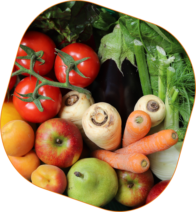 KI generiert: Das Bild zeigt eine bunte Auswahl an frischem Obst und Gemüse, darunter Tomaten, Äpfel, Birnen, Karotten und Blattsalat. Die verschiedenen Früchte und Gemüsesorten wirken frisch und appetitlich arrangiert.
