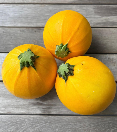 Produktfoto zu Zucchini, Rund gelb_grün