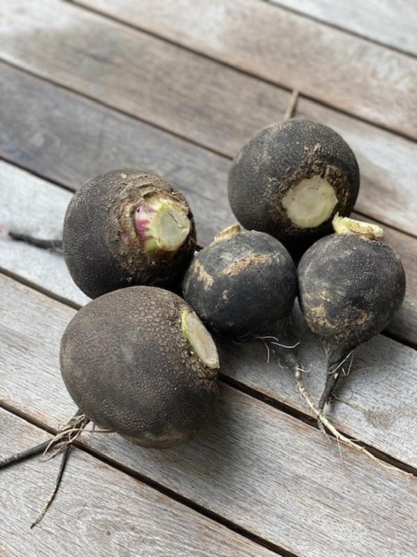 Produktfoto zu Rettich, schwarz lose