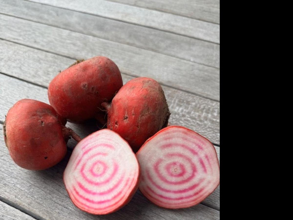 Produktfoto zu Rot_Weiss Geringelt Bete