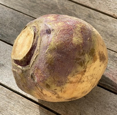 Produktfoto zu Steckrübe ca. 1 kg