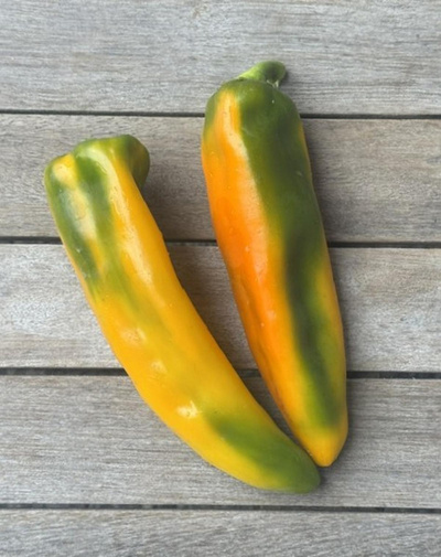 Produktfoto zu Spitzpaprika rot