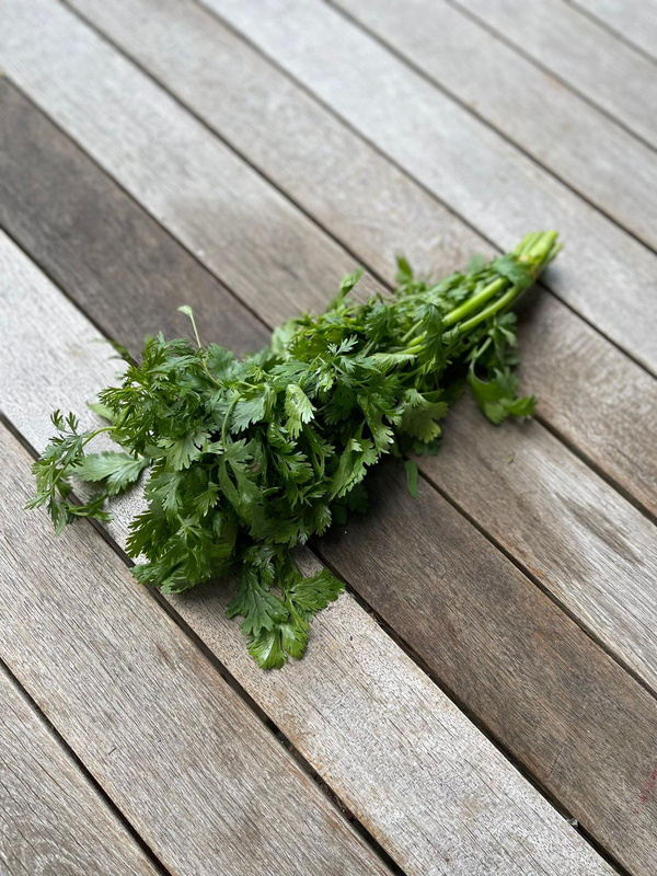Produktfoto zu Koriander, Bund