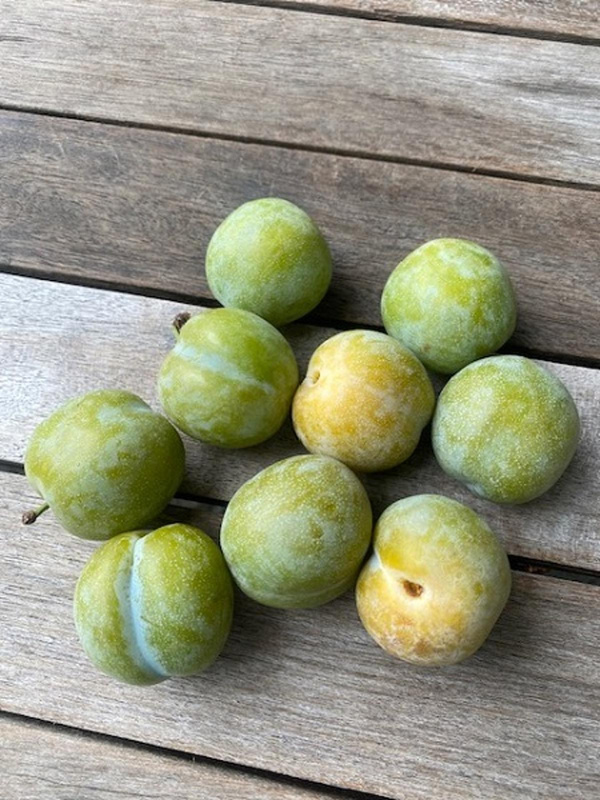 Produktfoto zu Reneclauden 300 g