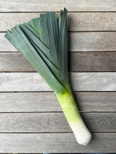 Produktfoto zu Lauch