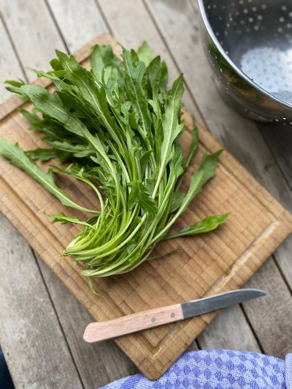 Produktfoto zu Rucola Portion 120 g