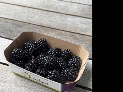 Produktfoto zu Brombeeren 125 g Schale